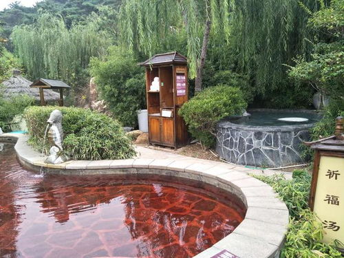 山东交运旅游集团与泰山温泉城开启全面战略合作签约仪式