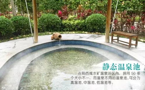 就是要泡真温泉 省内温泉游暖心推荐 周末可以开车去耍啦