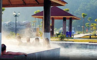 房车趣旅行 森林温泉 祈福迎春 篝火晚会2天房车之旅