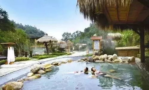 喜讯丨热烈祝贺揽翠湖天沐温泉当选第三届山东省温泉旅游推广联盟轮流主席单位