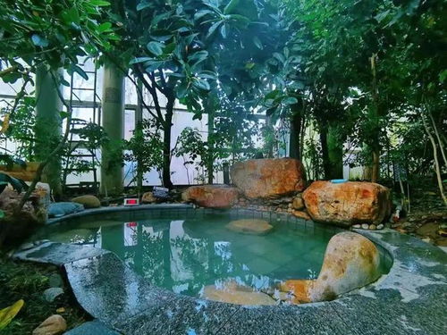 梦回琅琊 之旅,临沂城区两日游这样玩