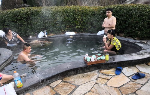 大连周边温泉哪个好 大连周边温泉旅游攻略