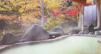 盘点2018日本签证的一切 骚操作 ,旅游签 工作签 三年多次往返签