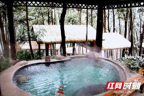 正月气温持续走低 降雪带火张家界温泉旅游