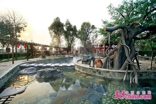 烟台人游烟台旅游直通车驾到 艾山温泉特惠票限量开抢