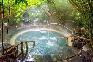 保山滇西旅游大环线规划调研组 对荷花温泉进行旅游线路实地调研