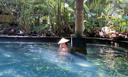 中国最美乡村 全球优选生态旅游目的地魅力腾冲温泉鲜氧之旅