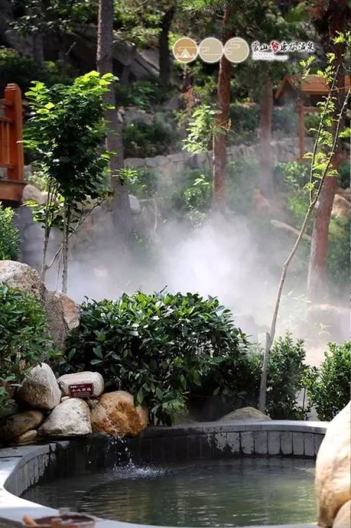 fm976 可劲白话 携手蒙山康谷森林温泉推出感恩教师节特别活动