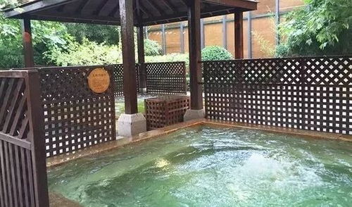 美团旅行2017年温泉游大数据 春节长假将迎温泉游最高峰