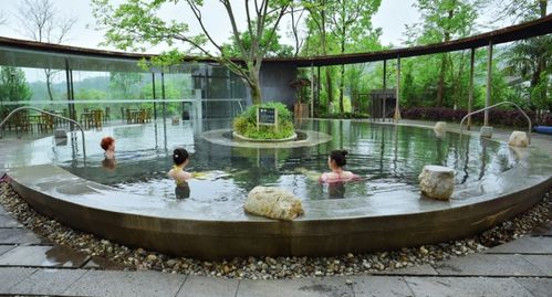 成都2小时温泉小镇之旅：泡汤吃卤鸭，尽享悠闲时光