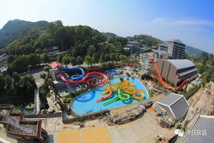 房县冬日暖游记 雪上驰骋·黄酒飘香·温泉氤氲