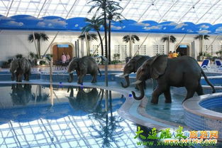 清明踏青，温泉暖心——温泉旅游特惠礼包大派送