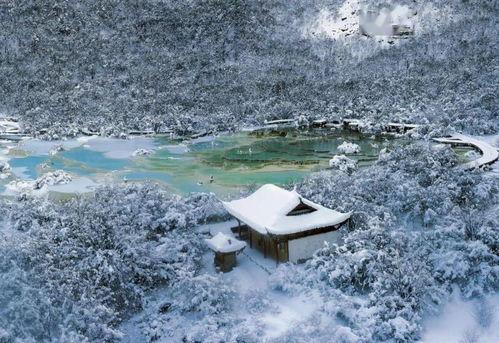 冰雪温泉大礼包来袭 暖冬旅行的极致体验