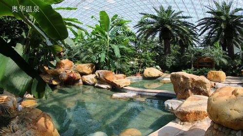 汤泉焕新 享游春光 一份春日温泉度假精品指南